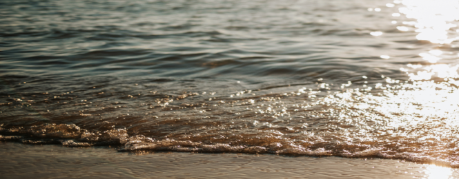 Ocean waves gently crashing onto a sandy beach